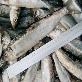 full image Frozen Herring