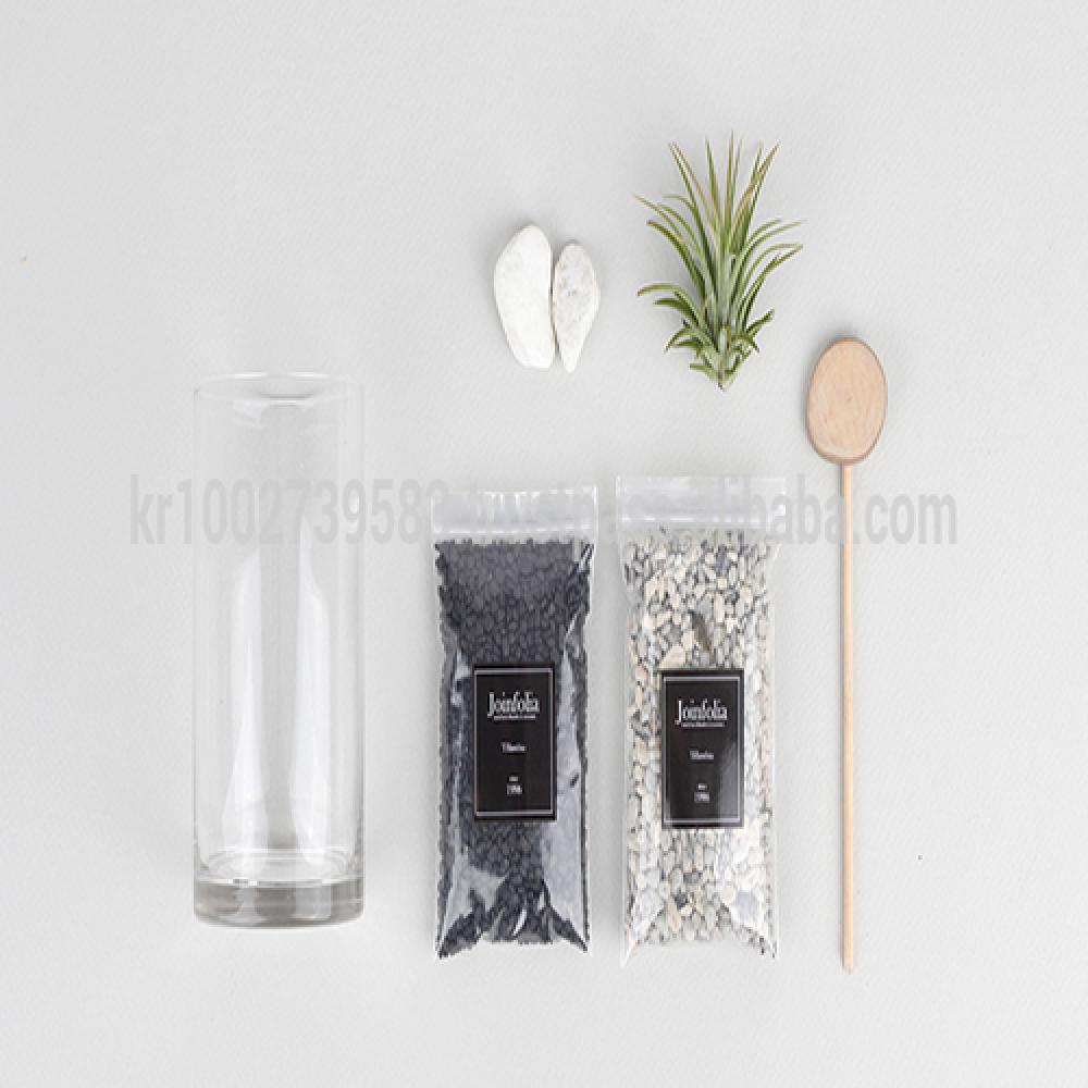 Vintage Glass Cup Tillandsia Air Plants DIY Set " Black & White" Joinflower