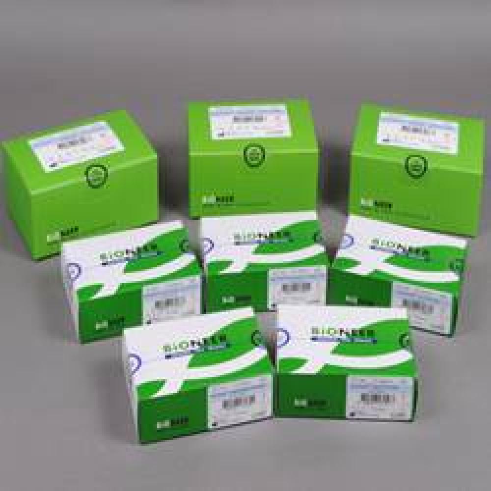  DNA/RNA amplification AccuPowerⓇ 