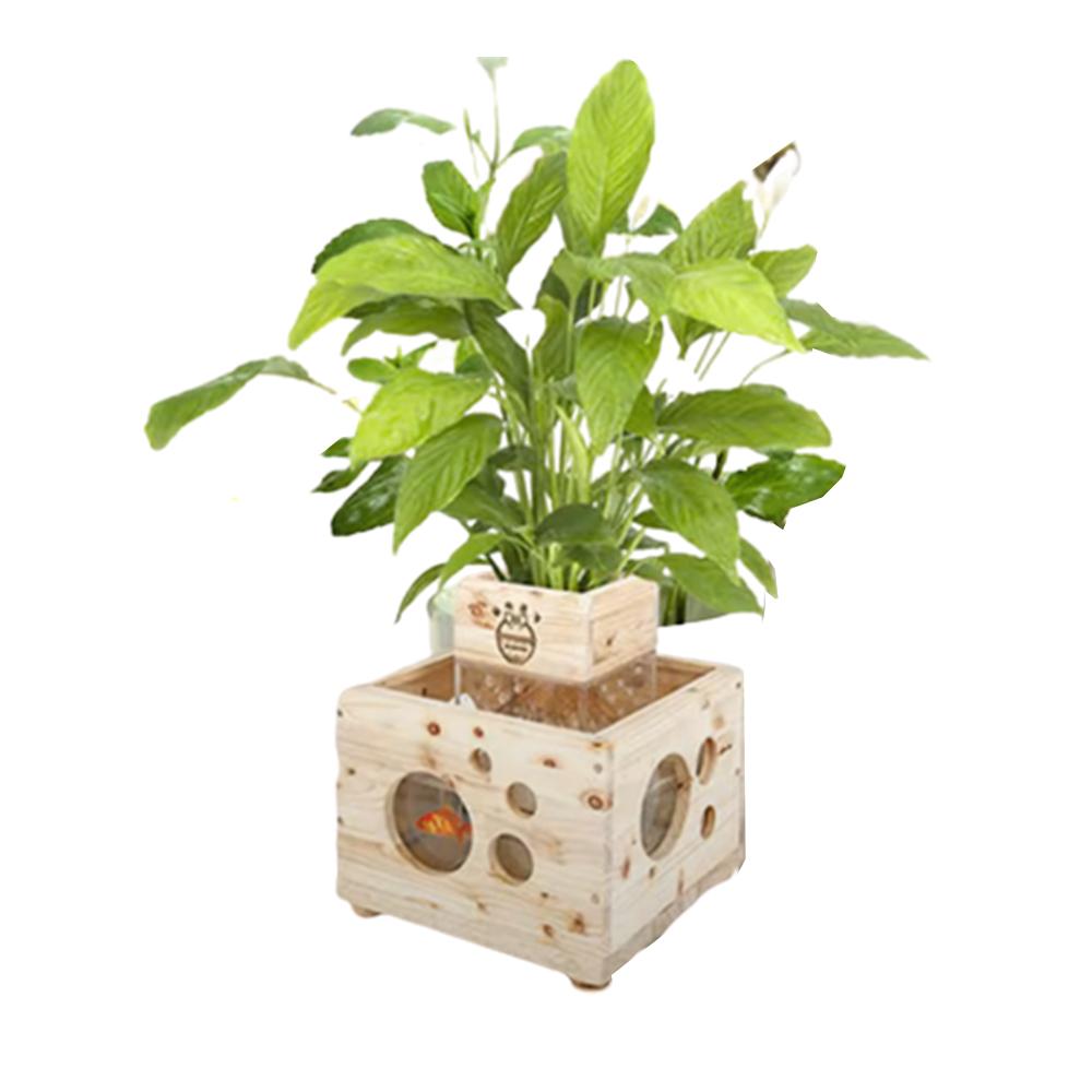 Eco Phytoncide Woods Humidification Air Cleaner Purifier Flowerpot Fishbowl