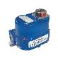 full image DOW Valve Korea, Electric Actuator for automation of quarter turn valves