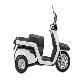detail image3 Electric Scooter EM3X