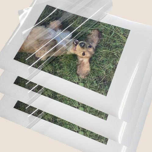 ANYSHEET Laminating Film A4 (100ct) for documents, Photos, Books, Clear Coating Matte