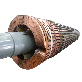 full image Rotor Coil (Parts for Power plant's Generator)