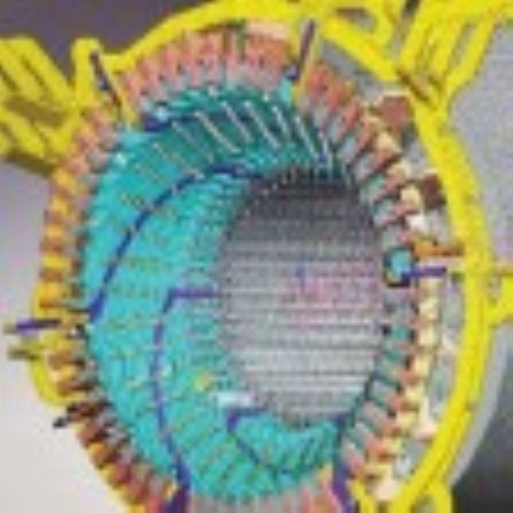 Stator Coil (Parts for Power plant's Generator)
