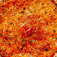 detail image2 Kimchi Pancake 160g