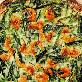 detail image2 Dried Shrimp & chives Pancake