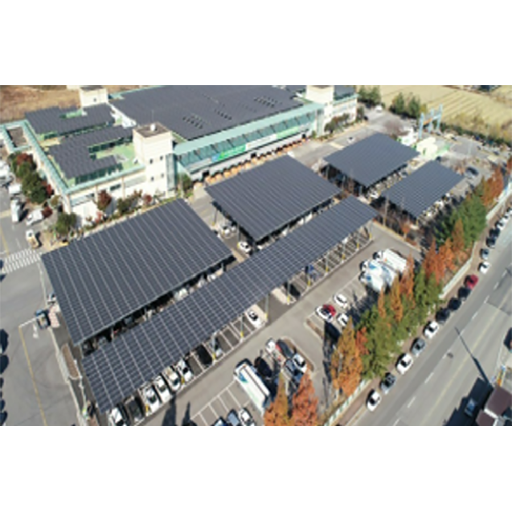 Community microgrid system