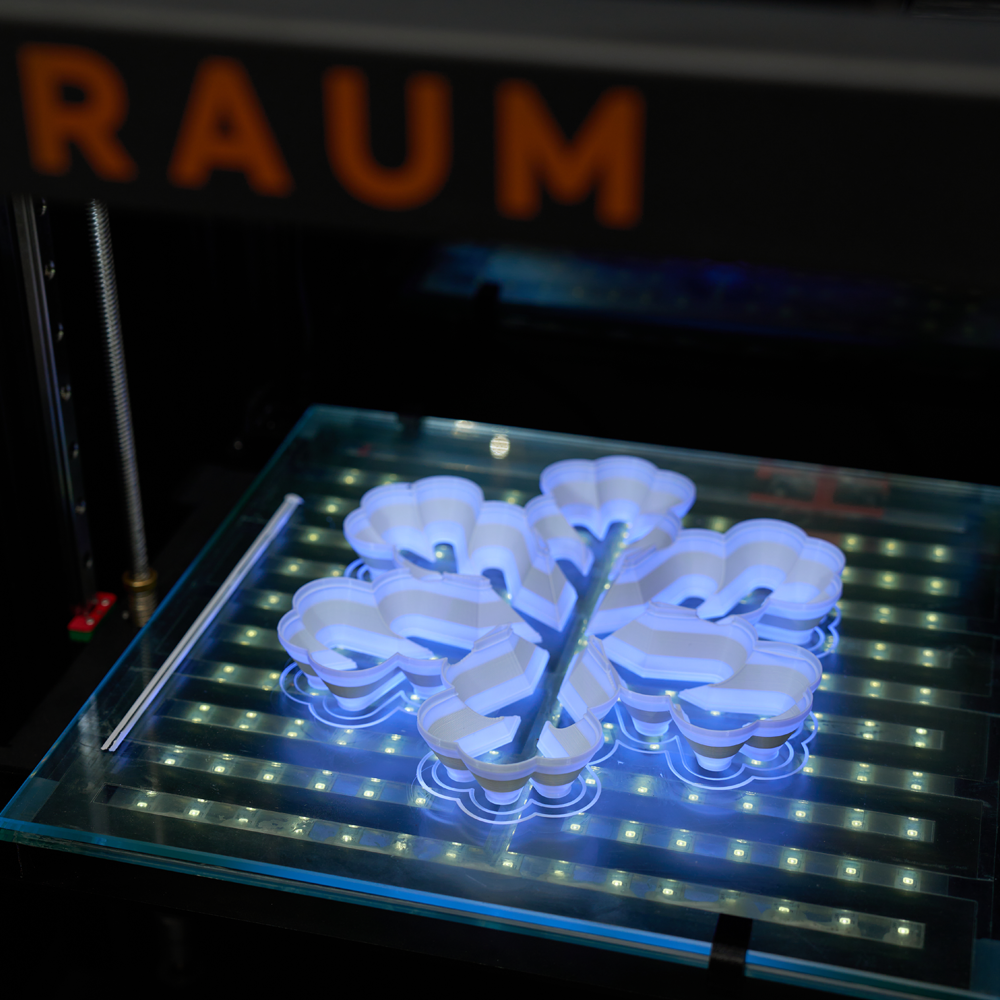 RAUM 300 SIGN , 3D PRINTER