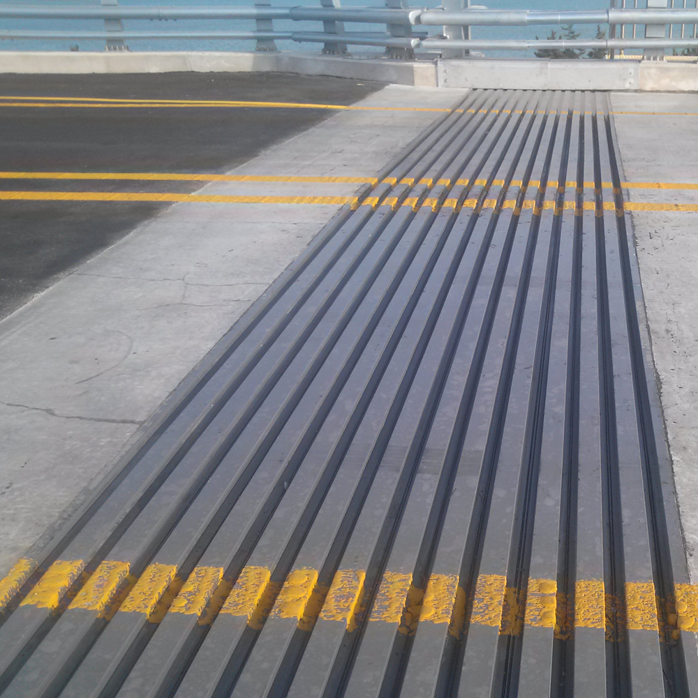 [EXPANSION JOINT for Bridge] Rail Joint | Reliable technology, affordable price | DBR DBR1 ~ DBR30